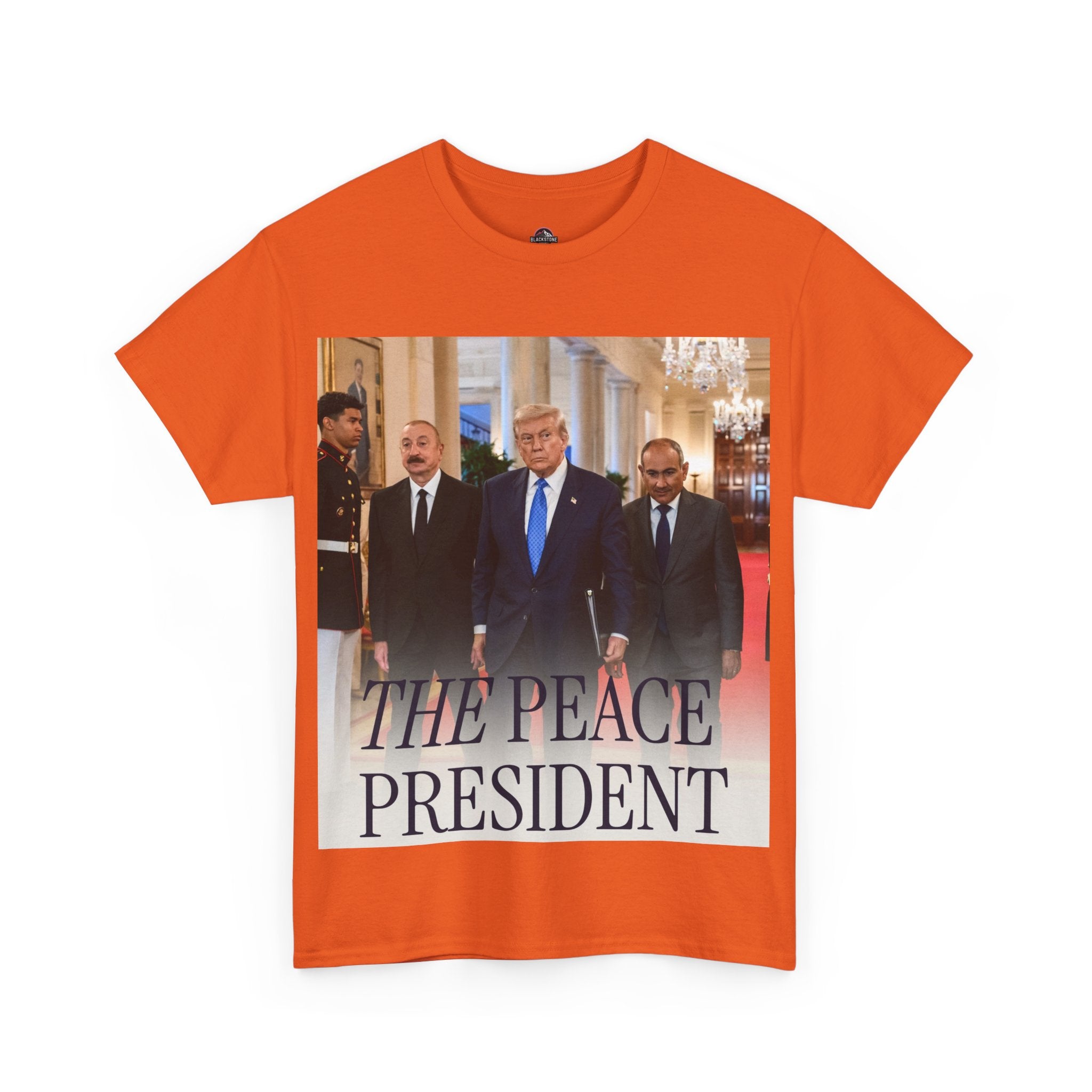 Political Statement Tee, Unisex Heavy Cotton Tee, Graphic T-Shirt, Statement Apparel, Gift for Activists, Trendy Top