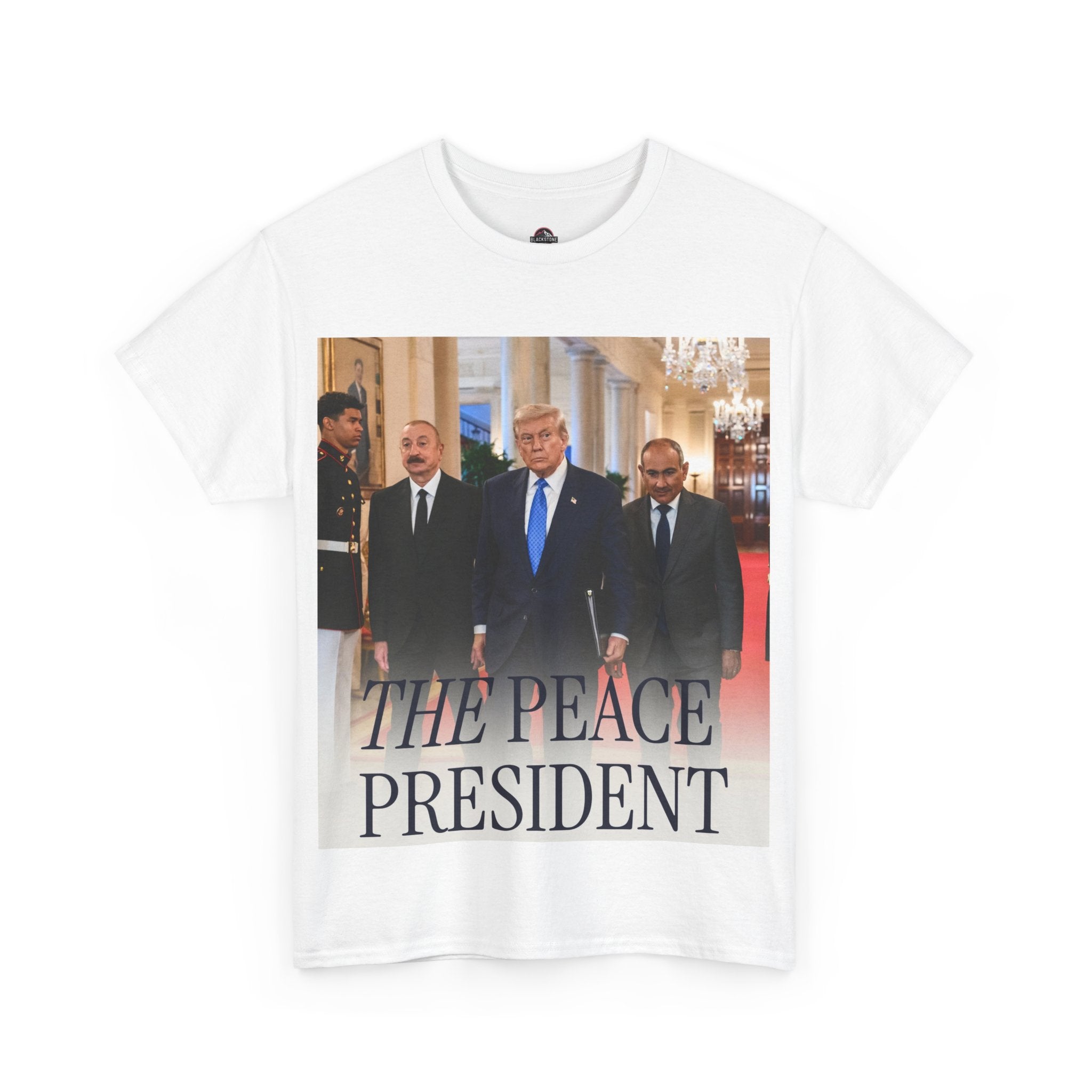 Political Statement Tee, Unisex Heavy Cotton Tee, Graphic T-Shirt, Statement Apparel, Gift for Activists, Trendy Top