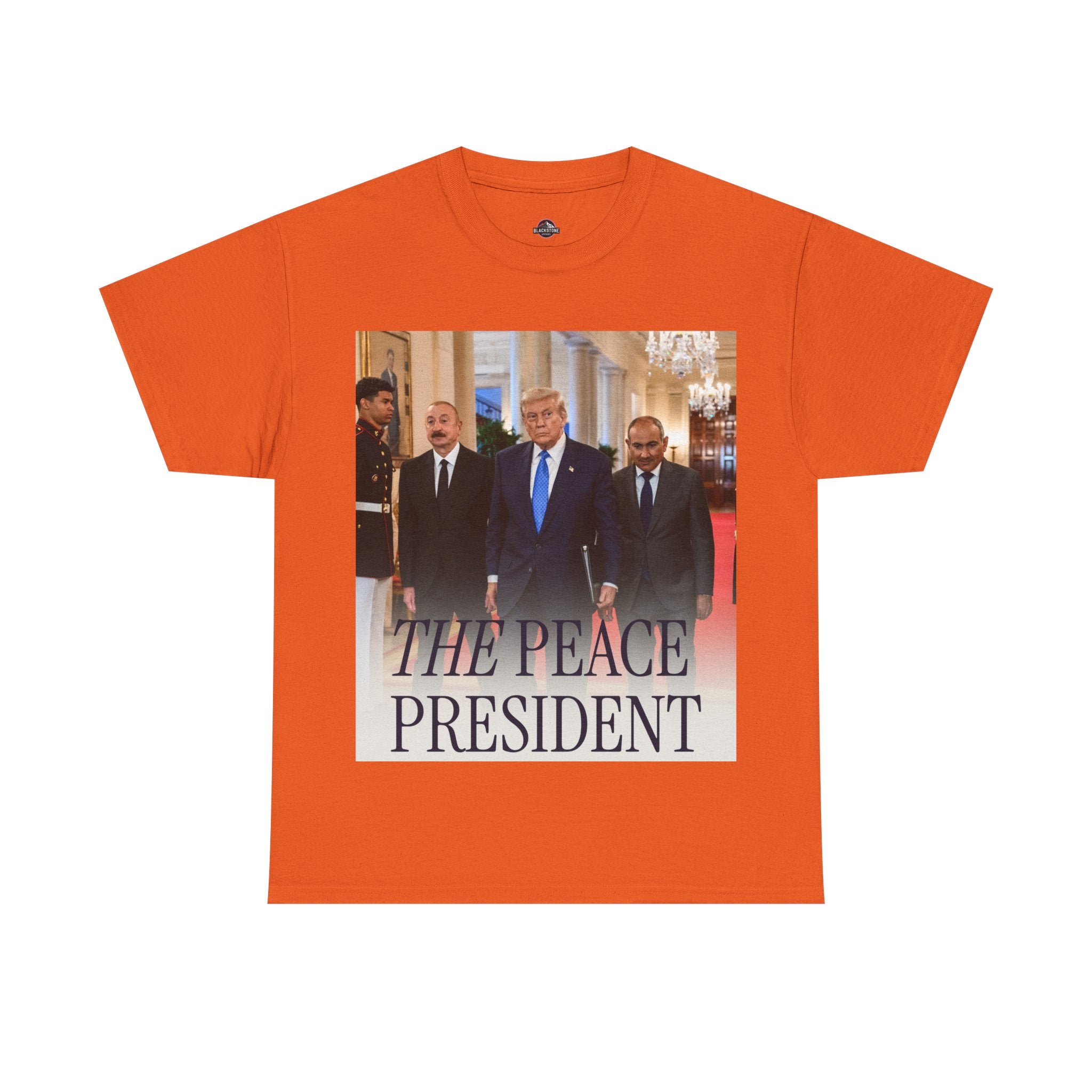 Political Statement Tee, Unisex Heavy Cotton Tee, Graphic T-Shirt, Statement Apparel, Gift for Activists, Trendy Top