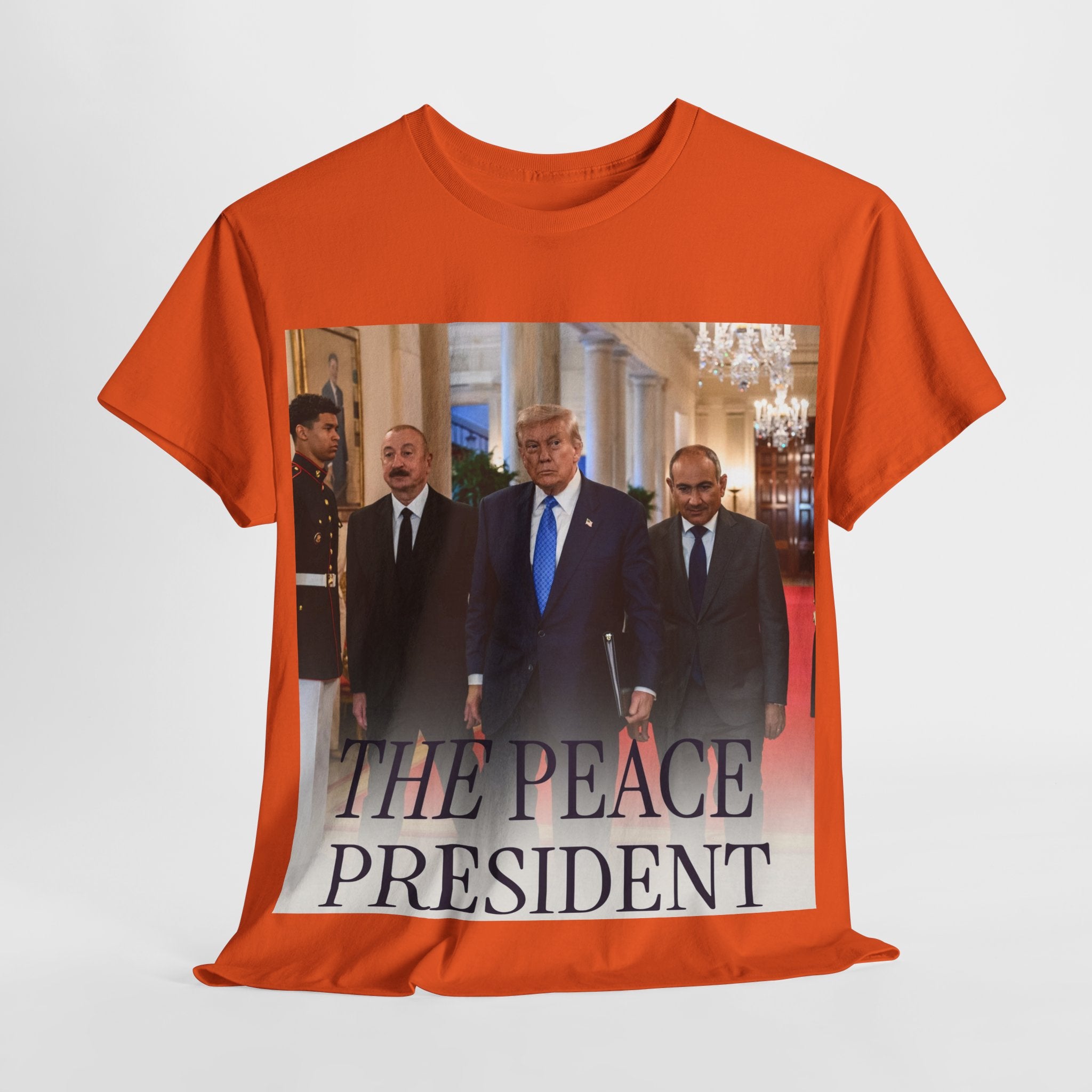 Political Statement Tee, Unisex Heavy Cotton Tee, Graphic T-Shirt, Statement Apparel, Gift for Activists, Trendy Top